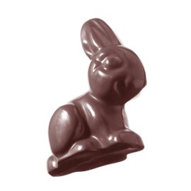  Chocolate World Polycarbonate Chocolate Mould Cw1245 in Port Blair