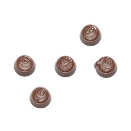  Chocolate World Polycarbonate Chocolate Mould Cw1671 in West Bengal
